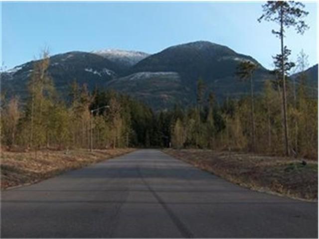 0-Lot 12 Timberland Ct - Photo 1