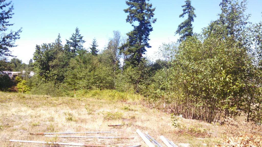4075 Ava Garden Ct - Photo 1