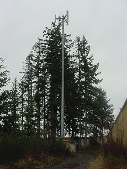14210 195th St - Photo 1