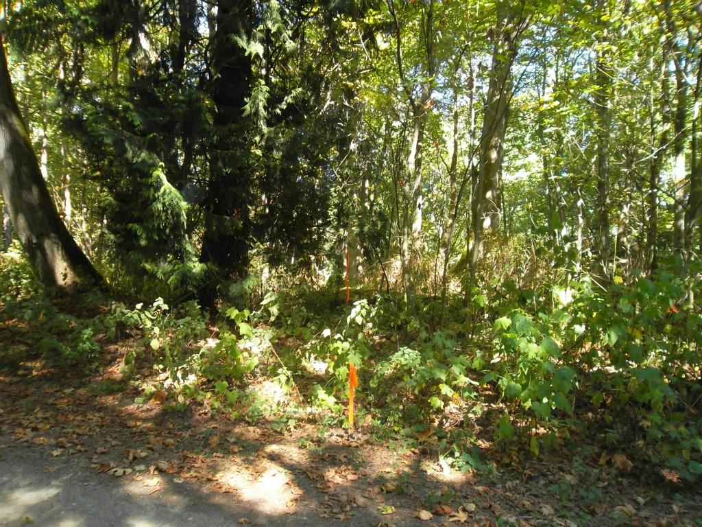 4-V Gendey Way - Photo 1