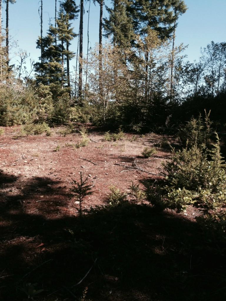 0-XXXX Capstan Rock Rd - Photo 1