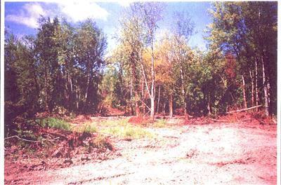 1125 Rush Rd - Photo 1