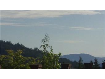 0 48th St - Photo 1
