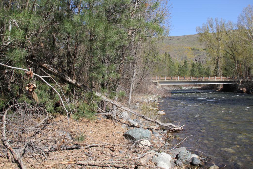 141 Twisp River Rd - Photo 1
