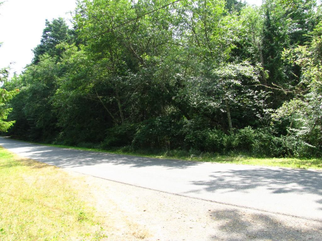 0 Johnson Ave - Photo 1