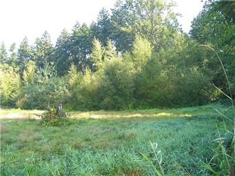 1200 62nd Ave Ne - Photo 1