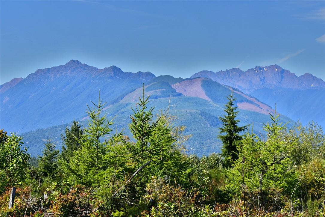 0 Lot 9 Pioneer Rd - Photo 1