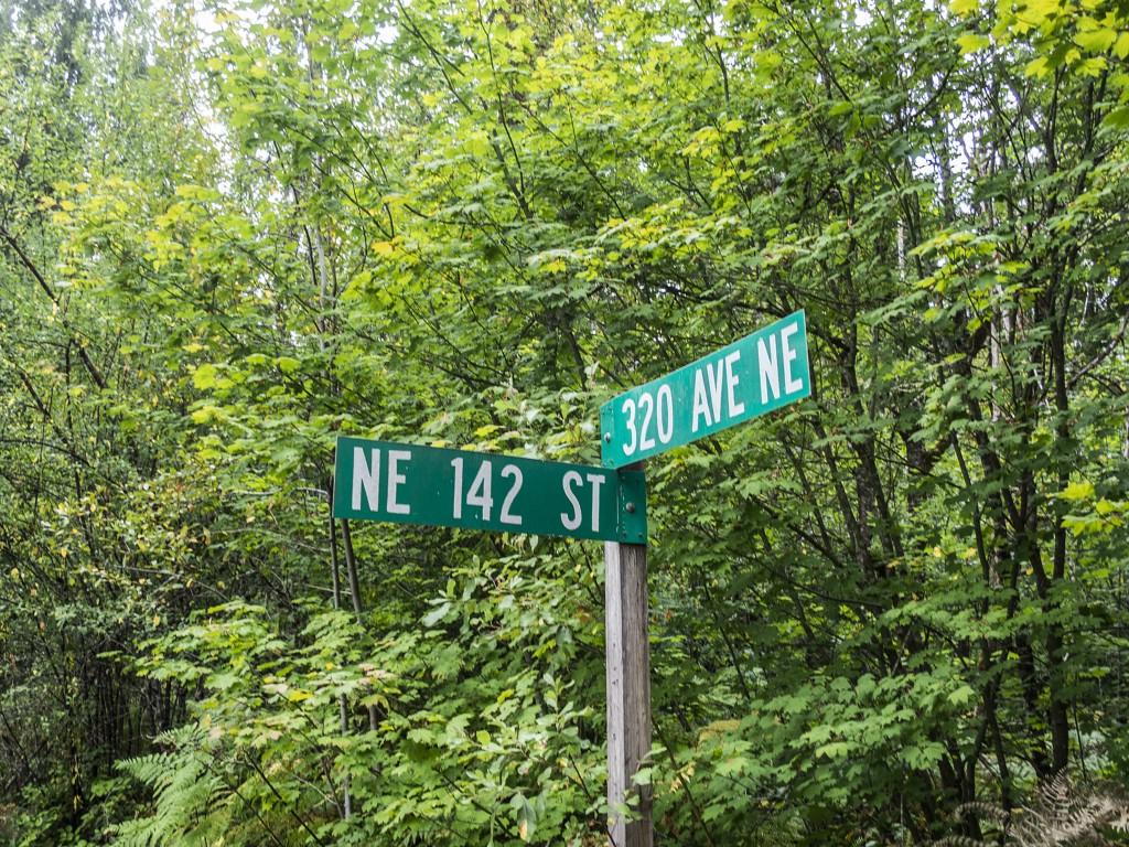 141-XX 320 Ave - Photo 1
