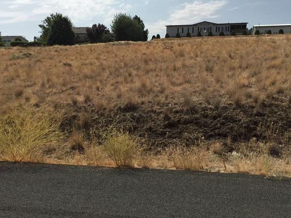 1 6th Ave - Photo 1