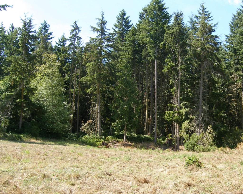 9999 Madrona Wy - Photo 1