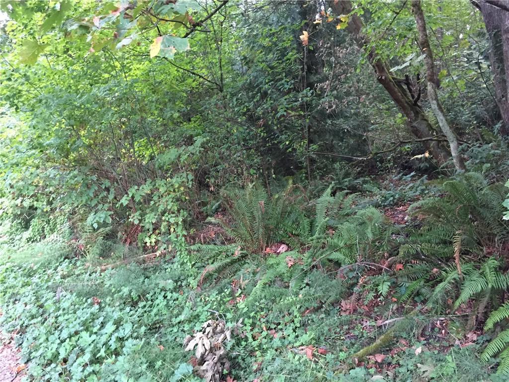 0 111th Ave - Photo 1