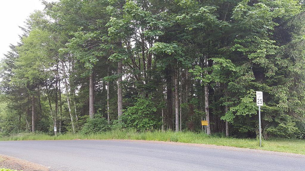 0 Timberline Dr - Photo 1