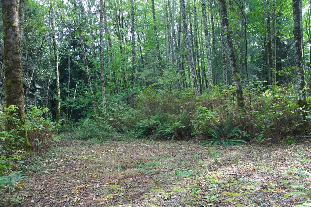 0 Ranae Lane - Photo 1