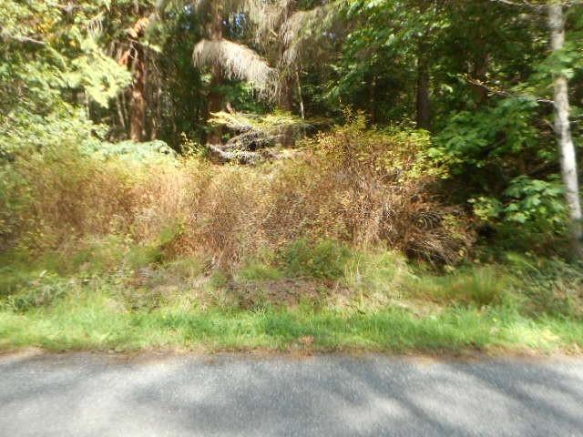 0 Holiday Blvd - Photo 1