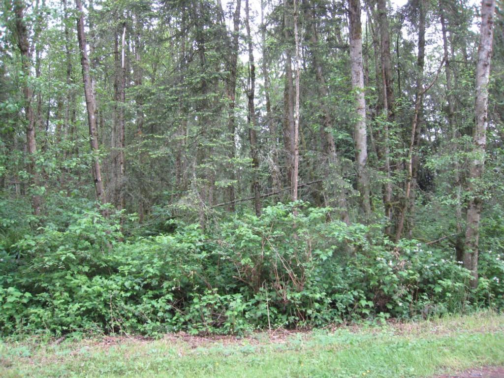 46-XX Lot B 192nd Street - Photo 1