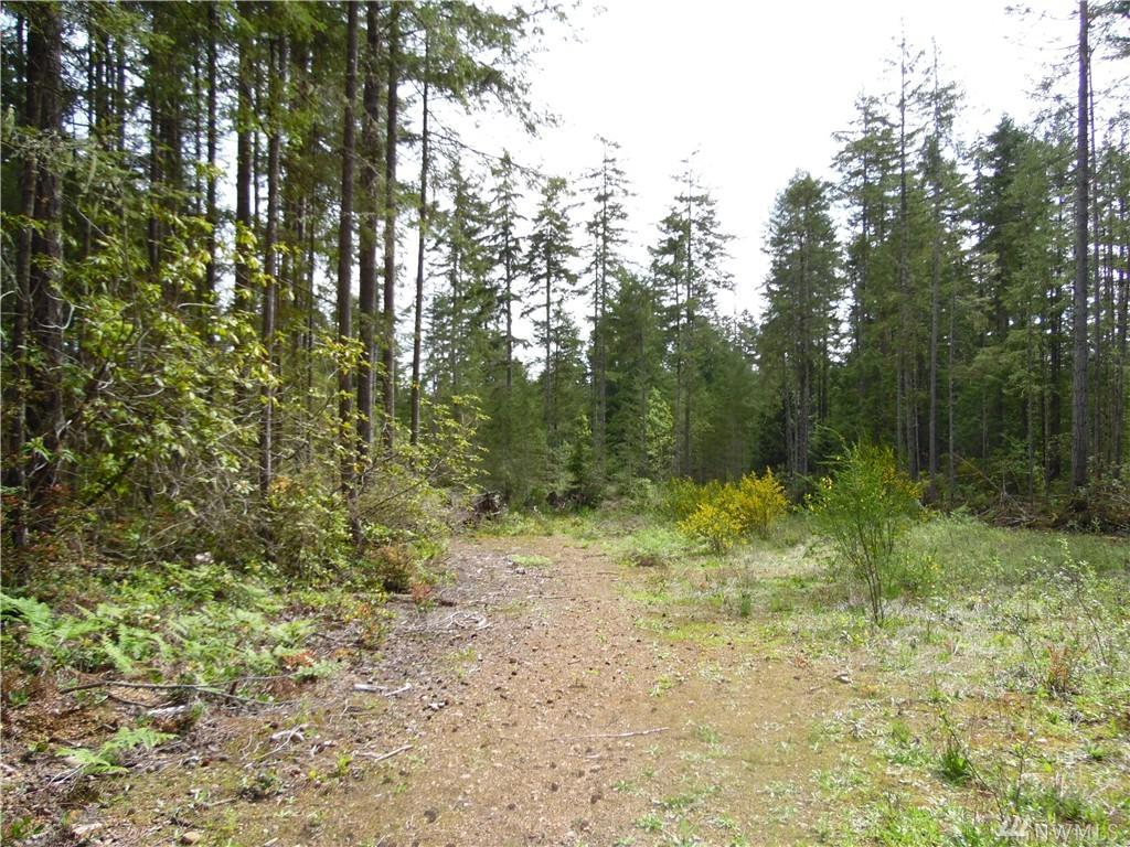 11950 Willamette Meridian Rd - Photo 1