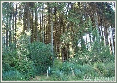 45 Coral Lane - Photo 1