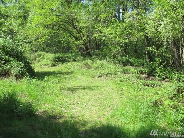 0 Trout Lakes Rd - Photo 1