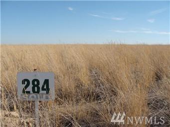 0-Lot 284 Eagle Springs Ranch - Photo 1