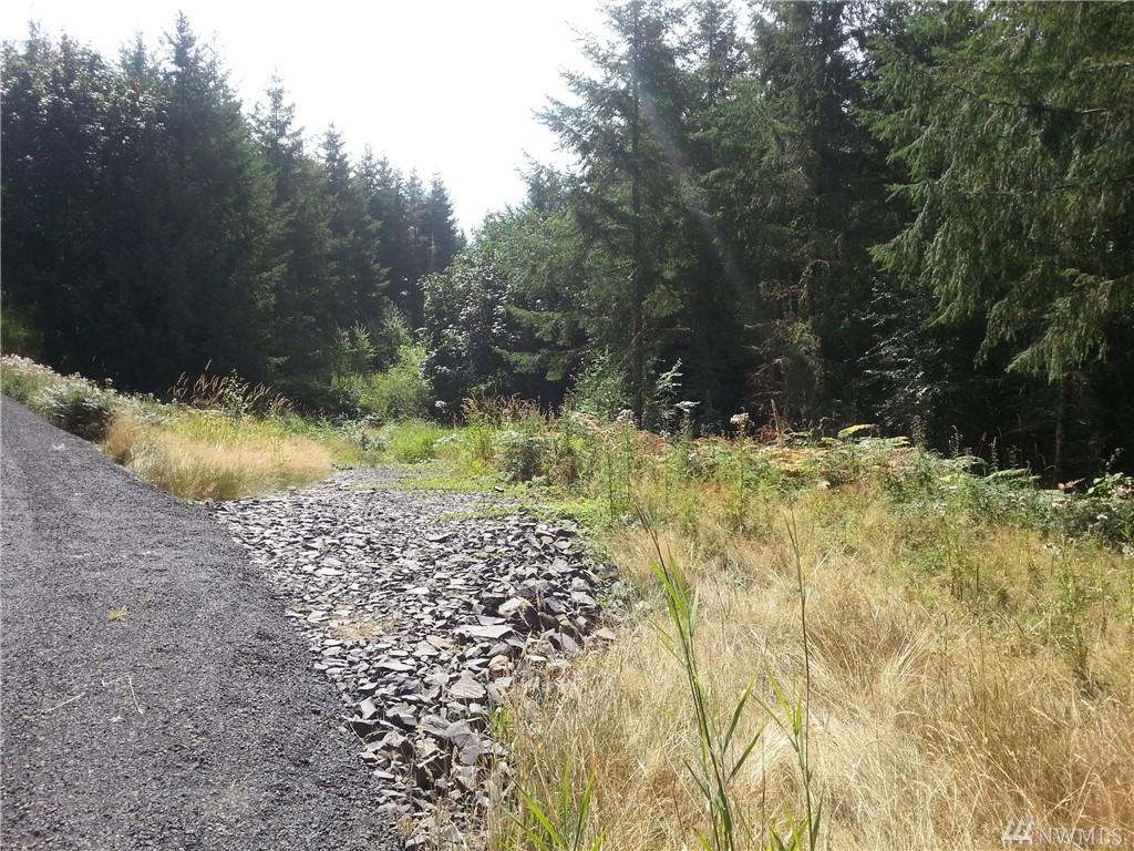 107 Outpost Lane - Photo 1