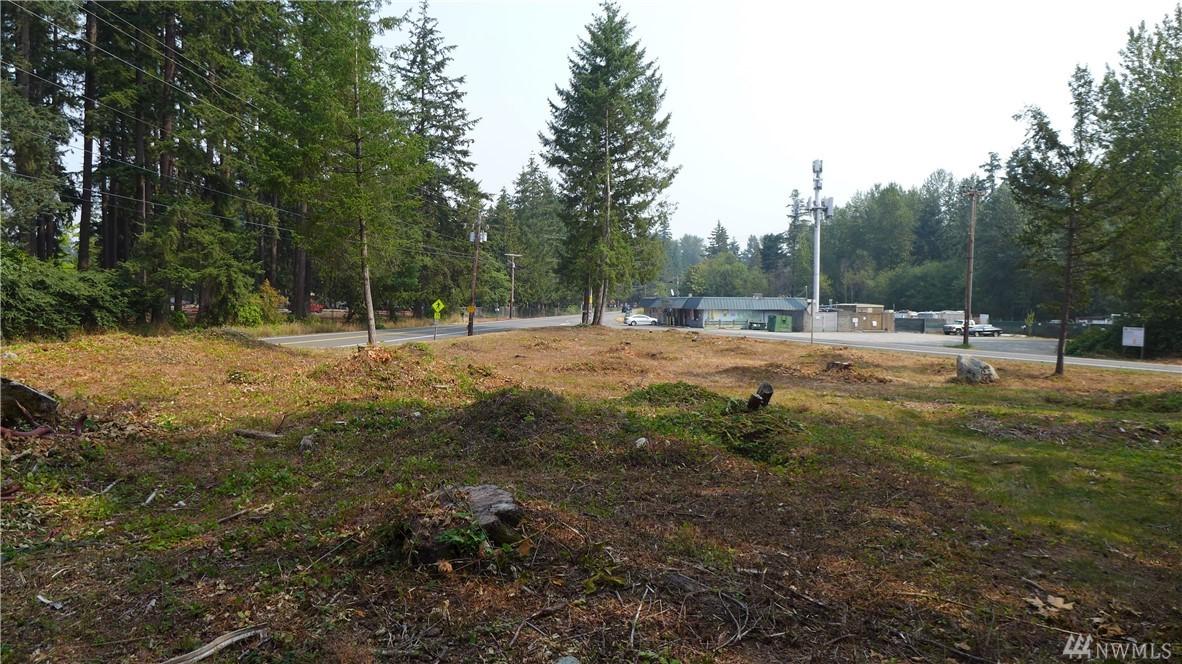 37000-37500 Military Rd - Photo 1