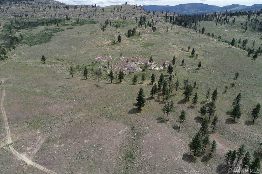 0 Omak Mountain Rd - Photo 1 0 Omak Mountain Rd - Photo 1