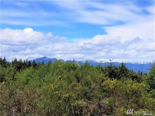 0-X Turko Lane - Photo 1
