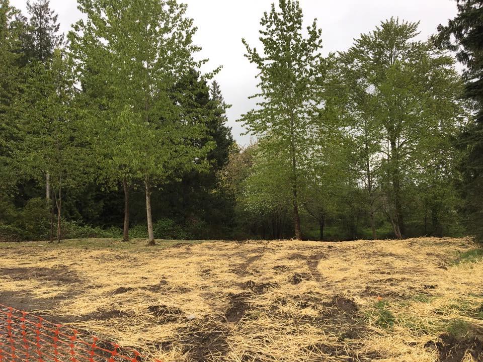 29006 Military Rd - Photo 1