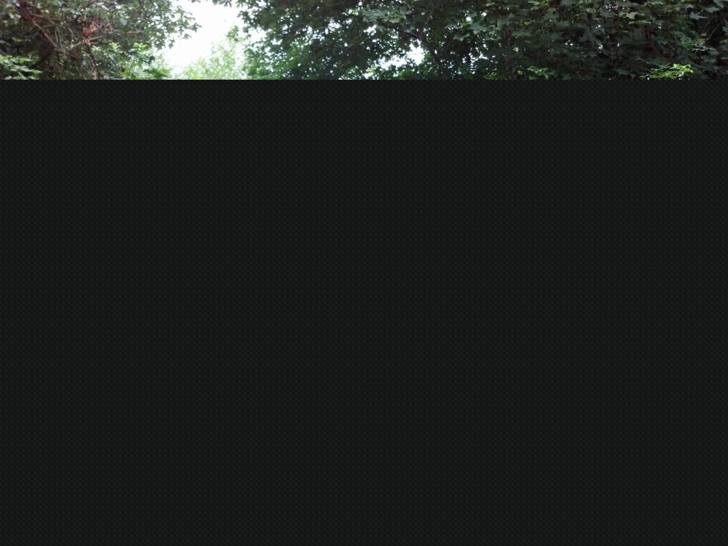 240 Panorama Dr - Photo 1