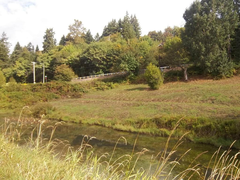 2850 42nd Ave - Photo 1