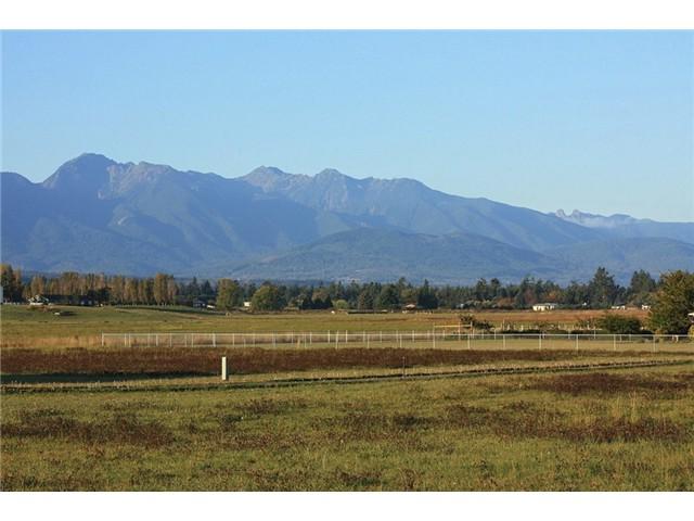 3 Buckhorn Rd - Photo 1