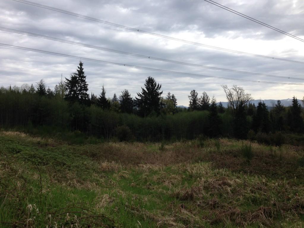0 227th Ave - Photo 1