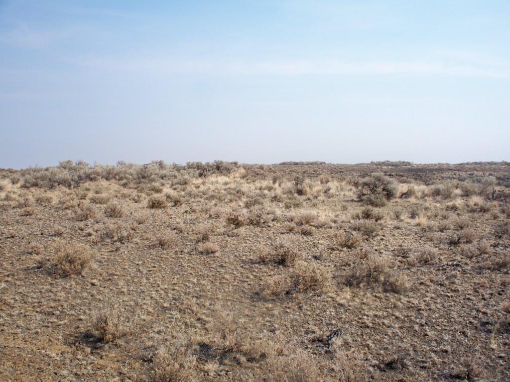 0 Coyote Trail - Photo 1