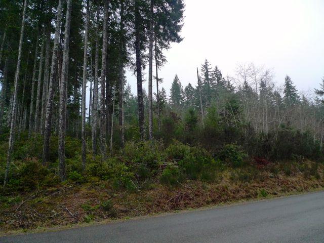 4541 Rasor Rd - Photo 1