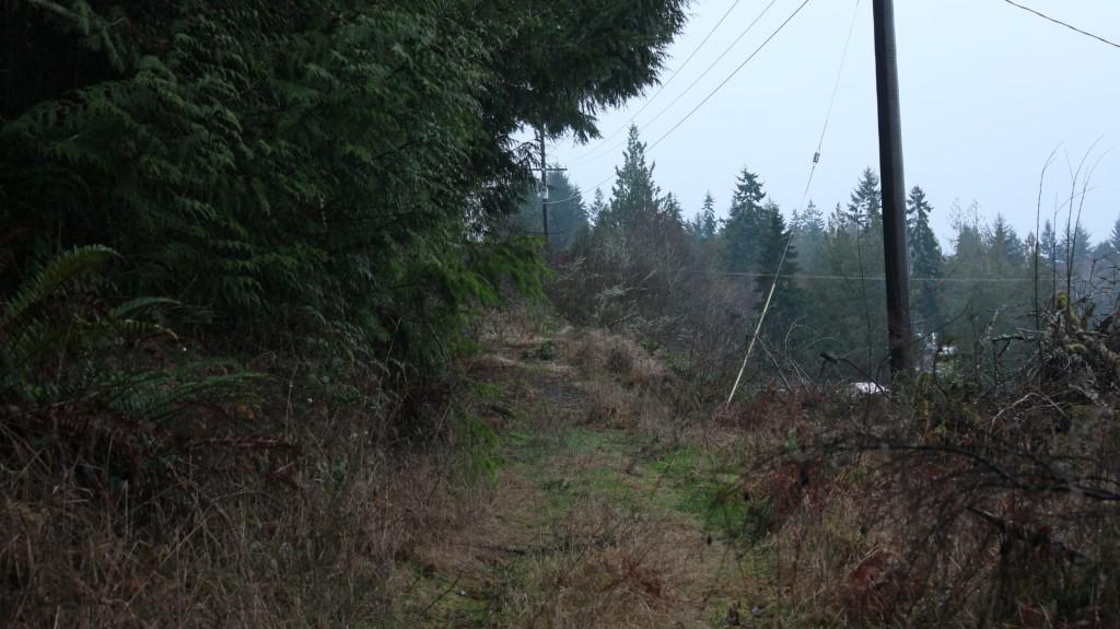 0-Lot 6 Hwy 112 - Photo 1