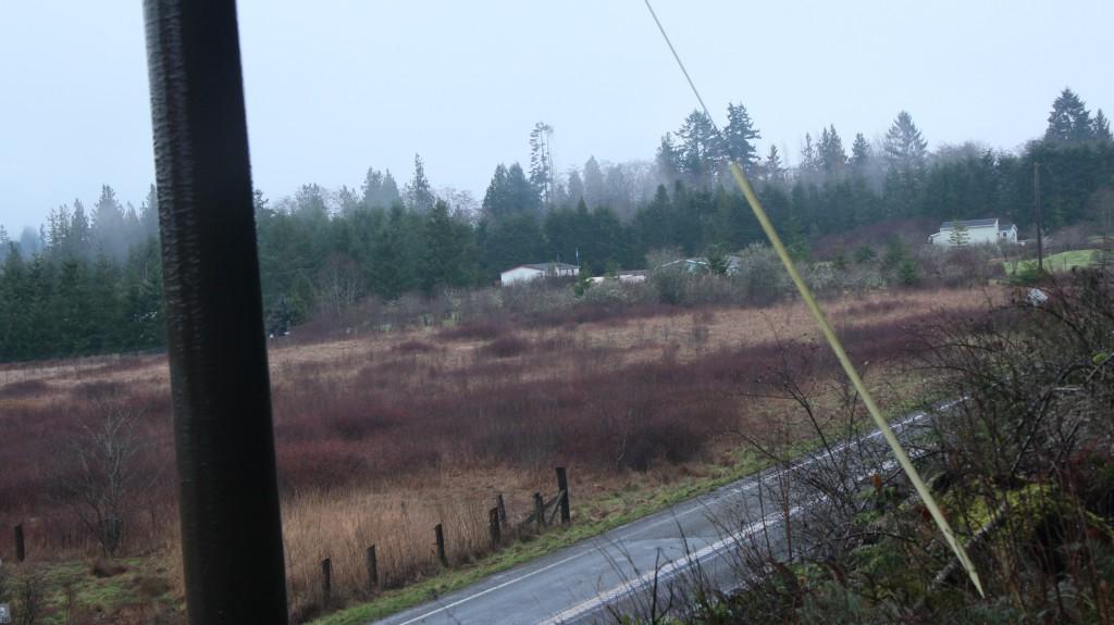 0-Lot 7 Hwy 112 - Photo 1