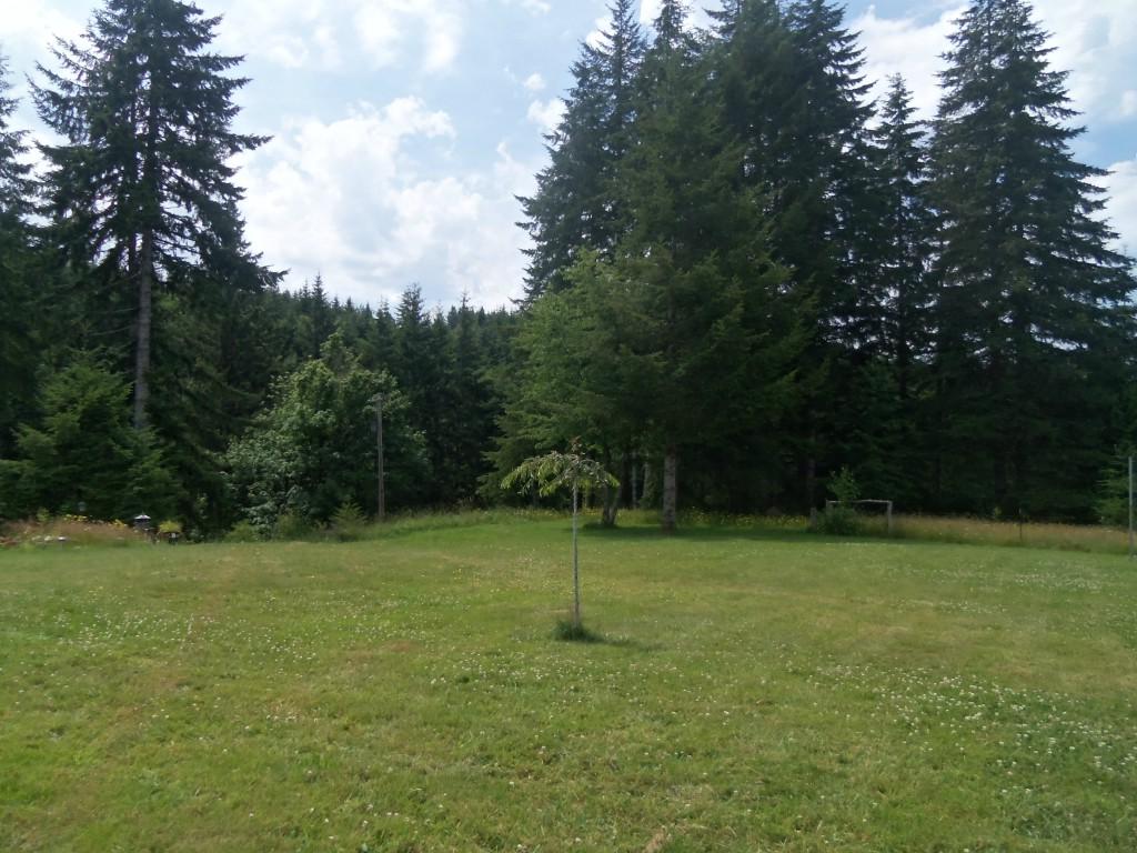 320 Winston Creek Rd - Photo 1