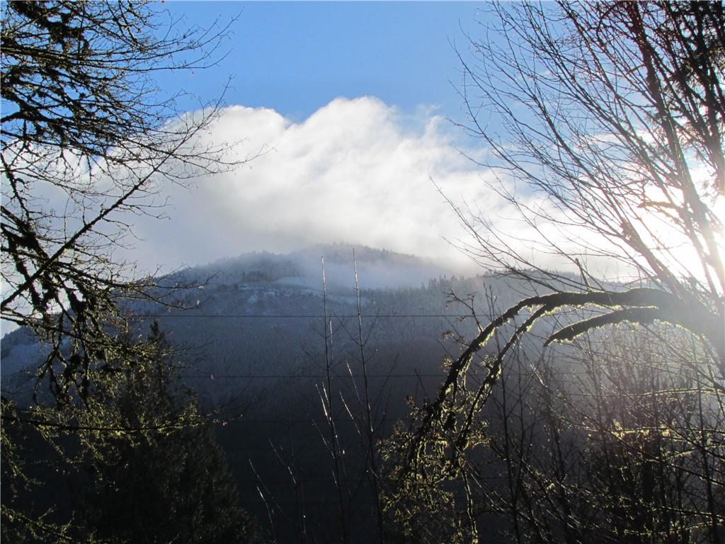 10211 Old Mt. Baker Hwy - Photo 1