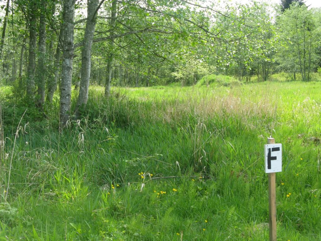 4680-Lot C Drayton Harbor Rd - Photo 1