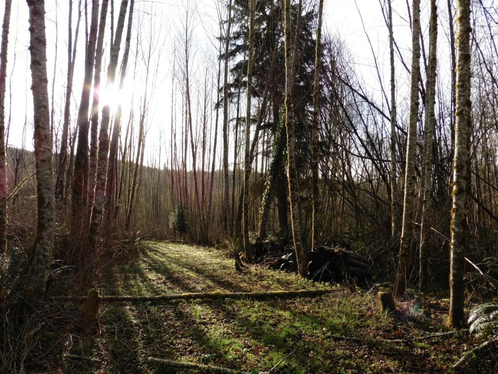 0-0 Winston Creek Rd - Photo 1