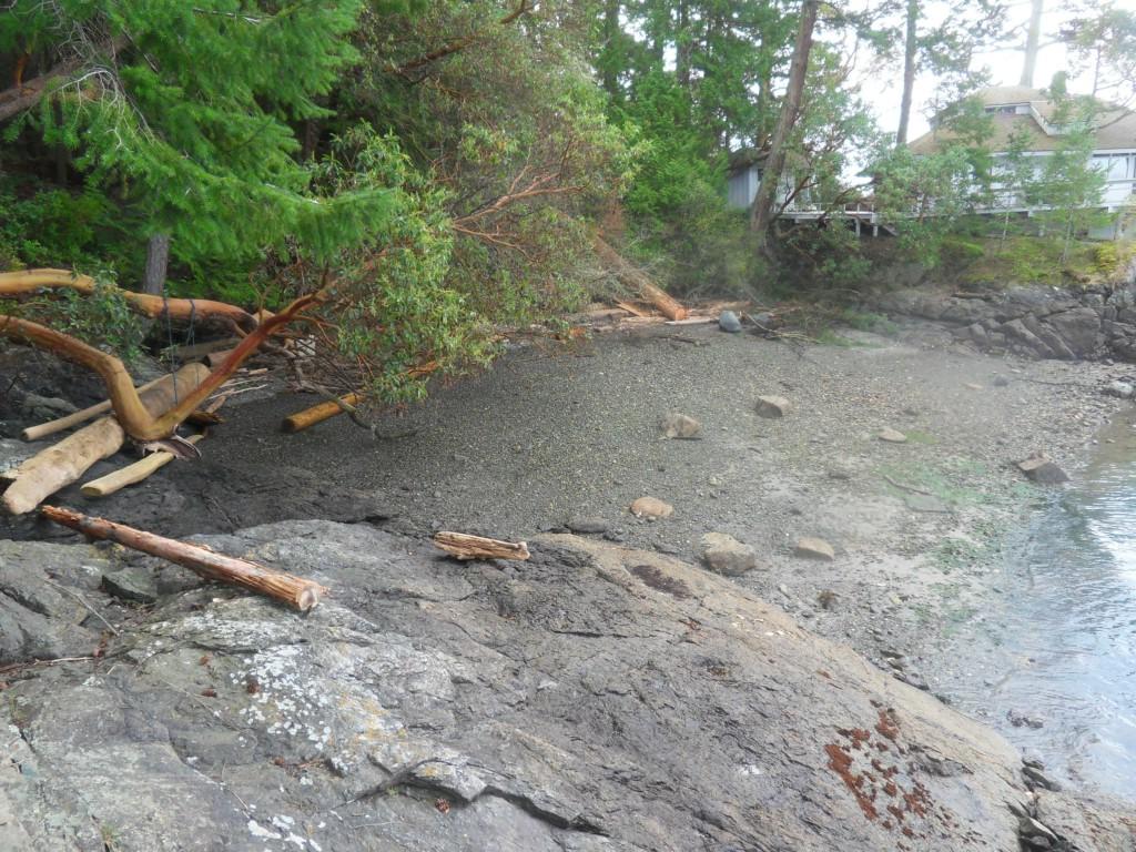 47 Brown Island - Photo 1