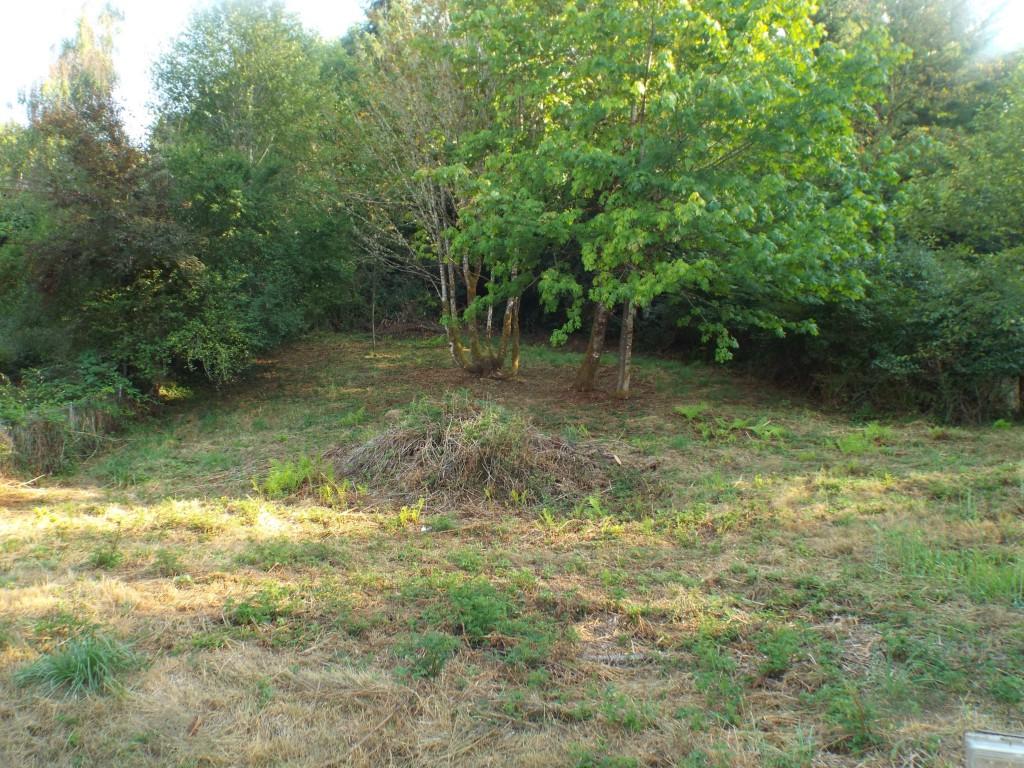 104 Lake Terrace Dr - Photo 1