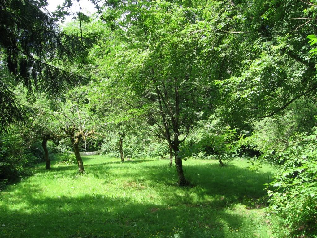 0-Lot 102 Anderson Hill Rd - Photo 1