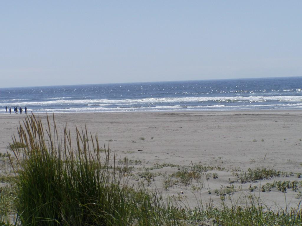 111 280 - Photo 1