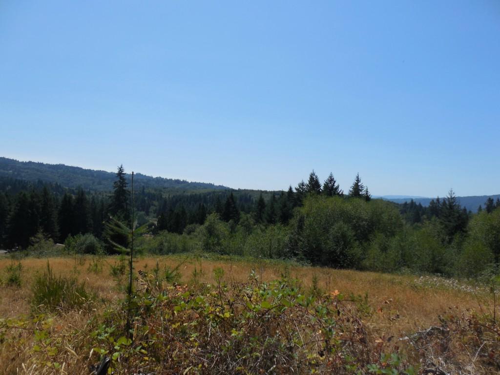 237 Maple Hill Rd - Photo 1