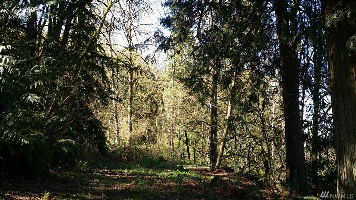 10531 Snoqualmie Valley Road Ne - Photo 1