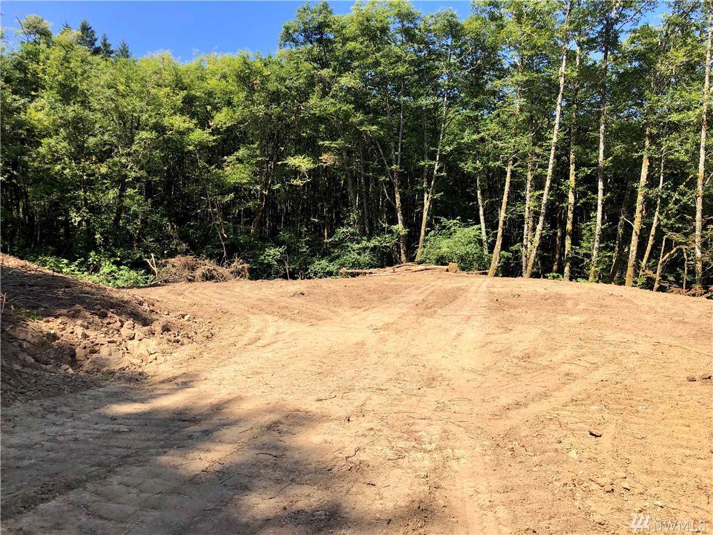 0 Trout Lakes Rd - Photo 1