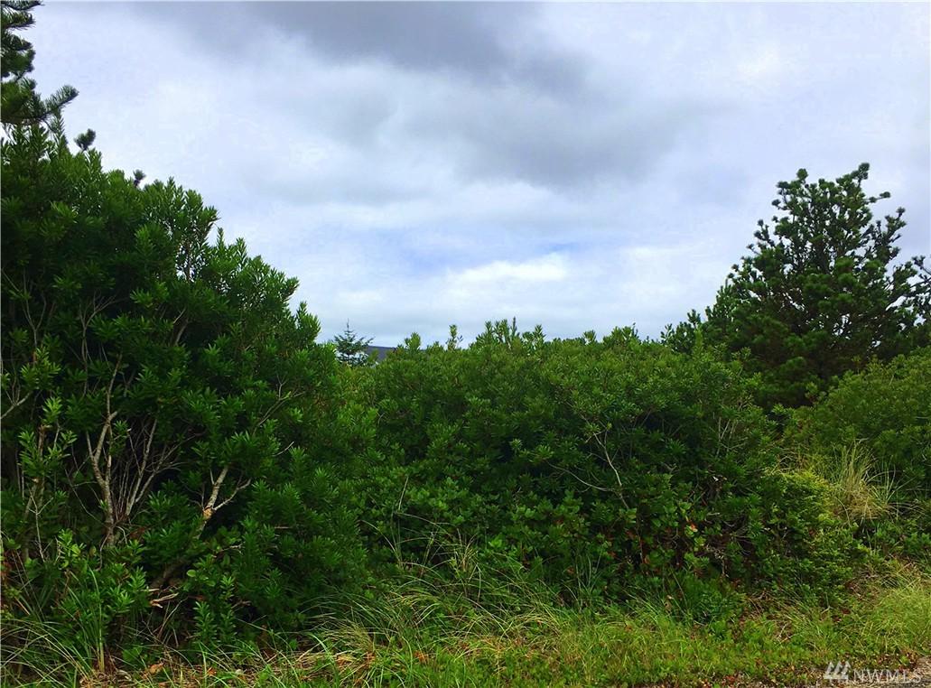 1331 Ocean Shores Blvd - Photo 1