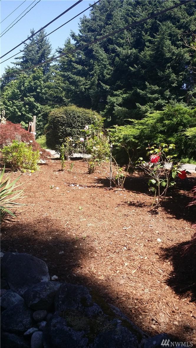 26241 Military Rd - Photo 1