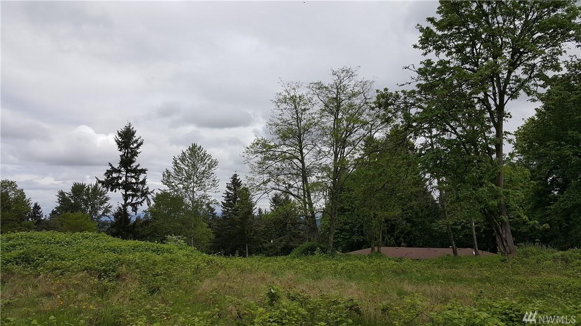 288-XX 55th Ave - Photo 1